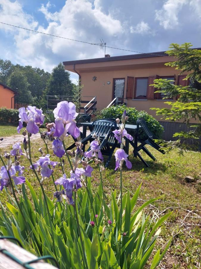 Chalet Grazia Valgiano Екстериор снимка
